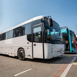 Buses