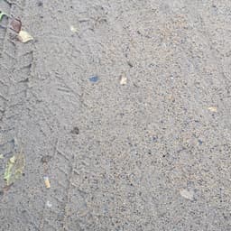 Seller Image
